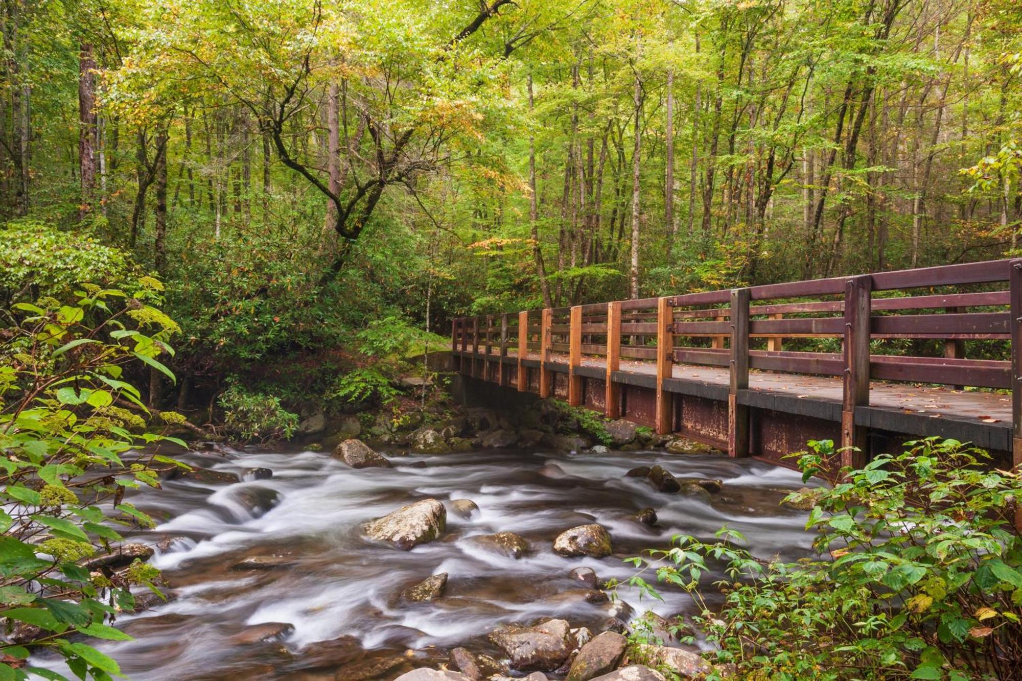 Ober Hideaway, Hot Tub, Wifi, 1089 Free Tickets Each Paid Day, Dollywood And More Gatlinburg Exterior foto